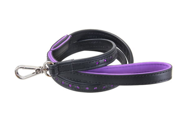 Alternative view of Black Swan Leine Black Purple