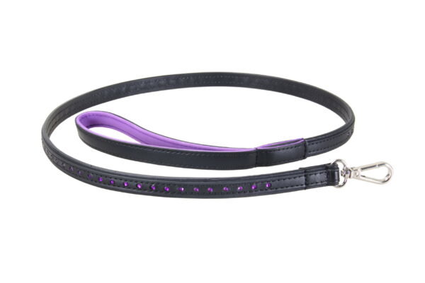 Black Swan Leine Black Purple