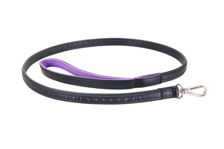 Black Swan Leine Black Purple