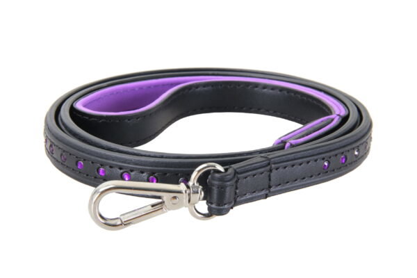 Black Swan Leine Black Purple – Bild 3
