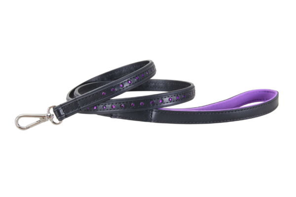 Black Swan Leine Black Purple – Bild 5
